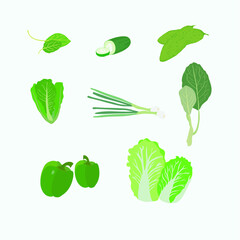 set of green vegetable