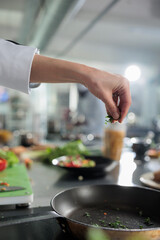 Close up of gastronomy expert hands garnishing gourmet dish with chopped fresh herbs in restaurant kitchen. Head chef cooking food for dinner service while adding ingredients to meal.
