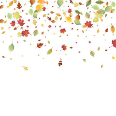 Leaves Falling Autumn Foliage Chaotic Leaf Flying