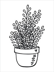 Сute hand drawn houseplant in a pot clipart. Plant illustration. Cozy home doodle.