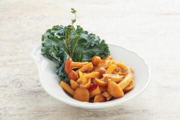 Wild pickled honey mushroom in the bowl