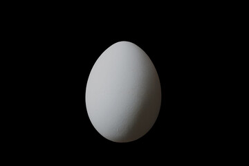 Single white egg isolated on black background.