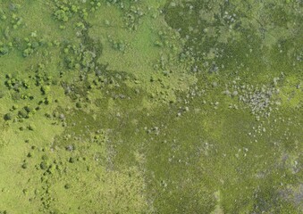 Top View Aerial Photograph of Grassland