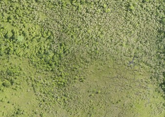 Top View Aerial Photograph of Grassland