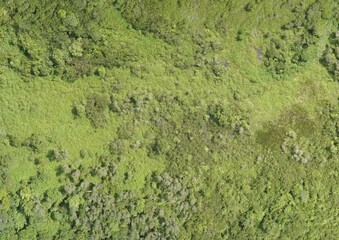 Top View Aerial Photograph of Grassland