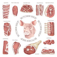 Hand drawn meat elements set. Butcher shop logo. 