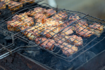 The meat is fried on the grill. Barbecue on coals