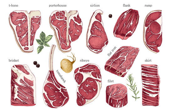 Hand drawn meat elements set. Steak cuts set. 
