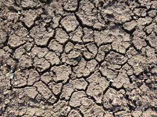 Dry cracked earth. Land background with copy space. Concept of global warming