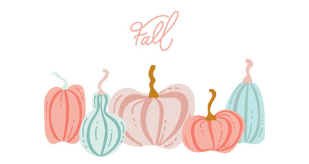 Pumpkin hand drawn simple set. Flat illustrations of pink and blue pumpkins and squash. Autumn collection for thanksgiving, harvest and halloween. Vector fall drawing