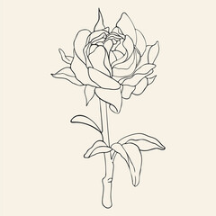 Hand drawn line art illustration. Detailed outline drawings. Templates for coloring books, tattoos, stickers, prints. Trendy black and white vector illustration with flower, leaves, buds.