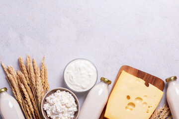 Shavuot background with dairy products and wheat on light gray background, web banner