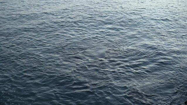 穏やかな湾内の海面を見下ろす