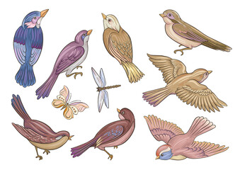Obraz premium Set of birds: sparrow, finches, butterflies, dragonflies. Clip art, set of elements for design Hand drawing vector illustration.