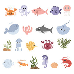 Sea animals and plants underwater.