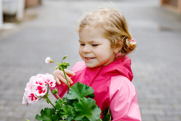 Cute blonde toddler girl planting seeds and seedlings of geranium flowers in garden. Happy healthy...