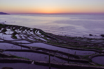 石川県　能登　白米千枚田