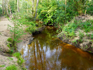 Naklejka na ściany i meble Close up of a small river in woodland