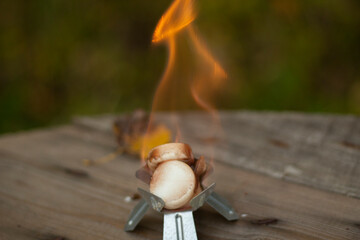 Flames from alcohol. Burning dry alcohol. Object for heating substances. Object with combustible...