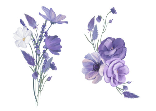 Purple watercolor flowers, bouquets isolated on white background