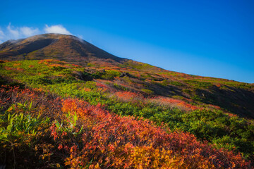 Autumn Leaves and Mountains