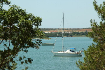 Small sailing boats in the marina.