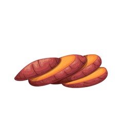 Sweet potato. Batat or yam cut circles. Vector illustration of vegetable sweet potatoes.