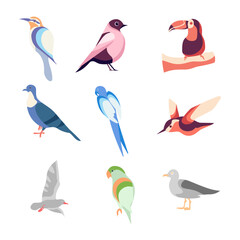 Flat Bird Illustration Vector Elements