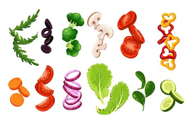 Flying or falling sliced vegetables, lettuce and greens. Tomatoes, arugula, olives, cucumbers, peppers, broccoli, champignons, etc. Concept Chopped vegetables for healthy cooking vector illustration.