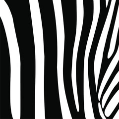 Zebra Motifs Pattern. Vector Illustration