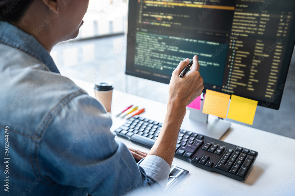 Aufkleber two professional programmer cooperating and working on web site project in a software developing on 