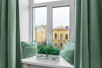 Window sill with turquoise-colored pillows and peas with a houseplant overlooking the old house through the window.