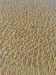 Glistening shallow water on white sand beach. Natural background