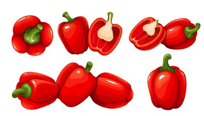 Whole red sweet peppers vegetable and half red bell pepper Vector illustration.