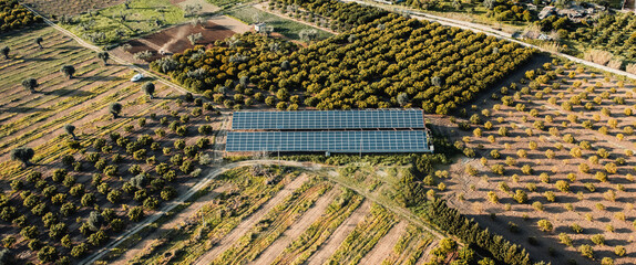 renewable solar energy for agriculture