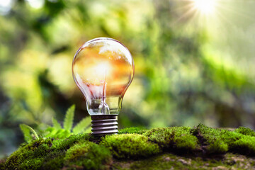 light bulb on green grass and sunlight in nature. concept of energy saving - obrazy, fototapety, plakaty