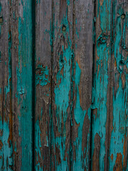 Close-up of green fence boards in the yard.