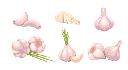 Garlic set, vegetable vector illustration. Whole heads, heaps whole and sliced garlic cloves. Common seasoning worldwide, spice and food flavoring.