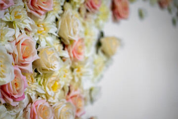Backdrop of colorful roses. Delicate artifical roses on the white background.