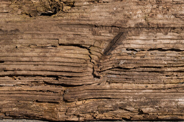 Brown wooden background, close-up wood fibrous structure with cracks, chips and uneven surface