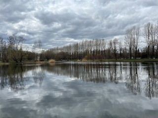 Sky and trees reflection on the lake surface