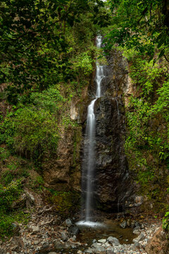 Waterfall, stream and lush cloud forest in Chiriqui Highlands during the dry season, Panama - stock photo