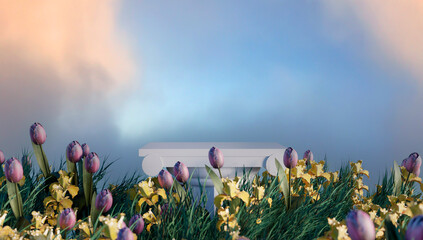 Enjoy Summer 3d realistic background with clouds, daisies, grass, leaves and product podium. 3d rendering.