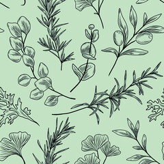 Hand drawn seamless vector pattern with rosemary branch, olive tree branches and leaves, herbal plants, herbs, sage brush plant, eucalyptus © yuliia lashevska