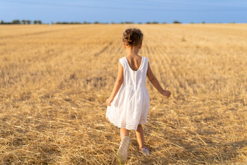 Naklejka na ściany i meble Little girl dressed white dress walking wheat field summer day