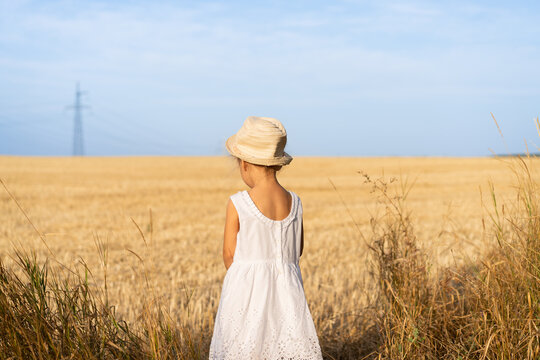 Little girl standing yellow wheat field dressed white dress and straw hat
