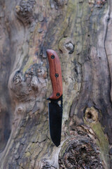 Exclusive handmade knife on background of tree.