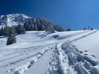 Wonderful winter hiking trails and traces on the slopes of the Alpstein mountain range and in the fresh alpine snow cover of the Swiss Alps, Nesslau - Obertoggenburg, Switzerland (Schweiz)