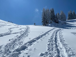 Obraz premium Wonderful winter hiking trails and traces on the slopes of the Alpstein mountain range and in the fresh alpine snow cover of the Swiss Alps, Nesslau - Obertoggenburg, Switzerland (Schweiz)