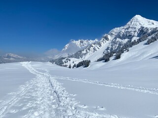 Obraz premium Wonderful winter hiking trails and traces on the slopes of the Alpstein mountain range and in the fresh alpine snow cover of the Swiss Alps, Nesslau - Obertoggenburg, Switzerland (Schweiz)